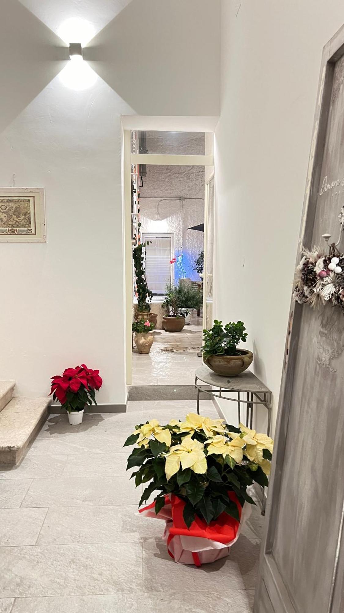 Dimora Donna Vitalia Apartments تراباني المظهر الخارجي الصورة