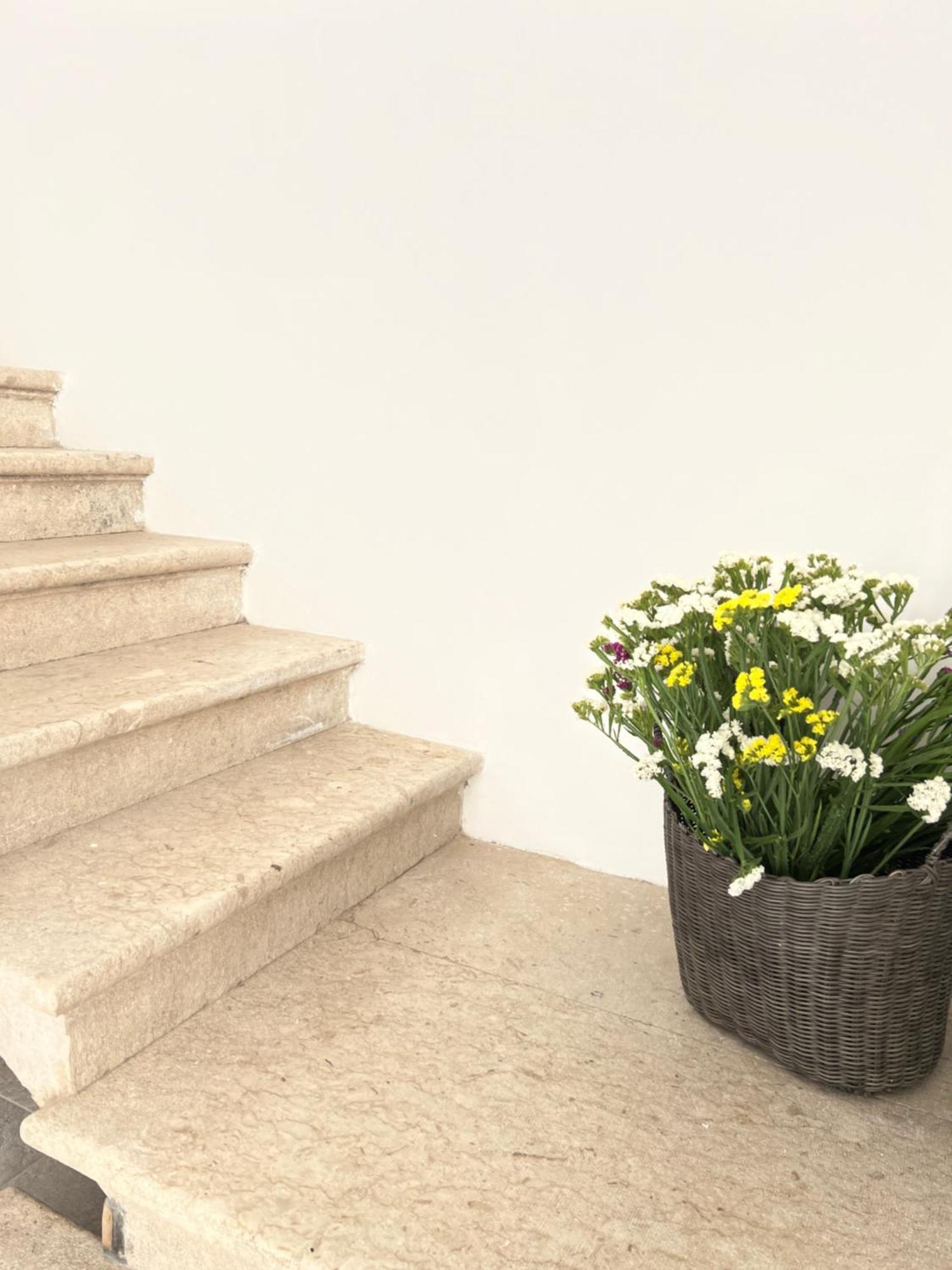 Dimora Donna Vitalia Apartments تراباني المظهر الخارجي الصورة