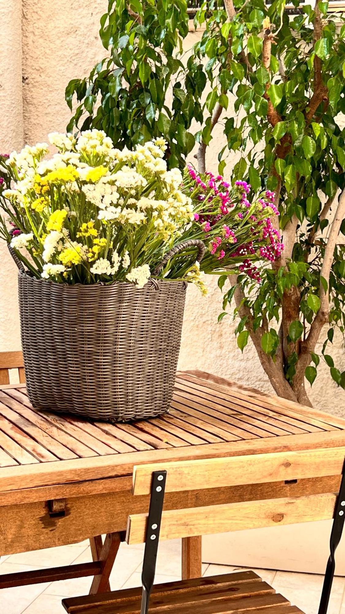 Dimora Donna Vitalia Apartments تراباني المظهر الخارجي الصورة