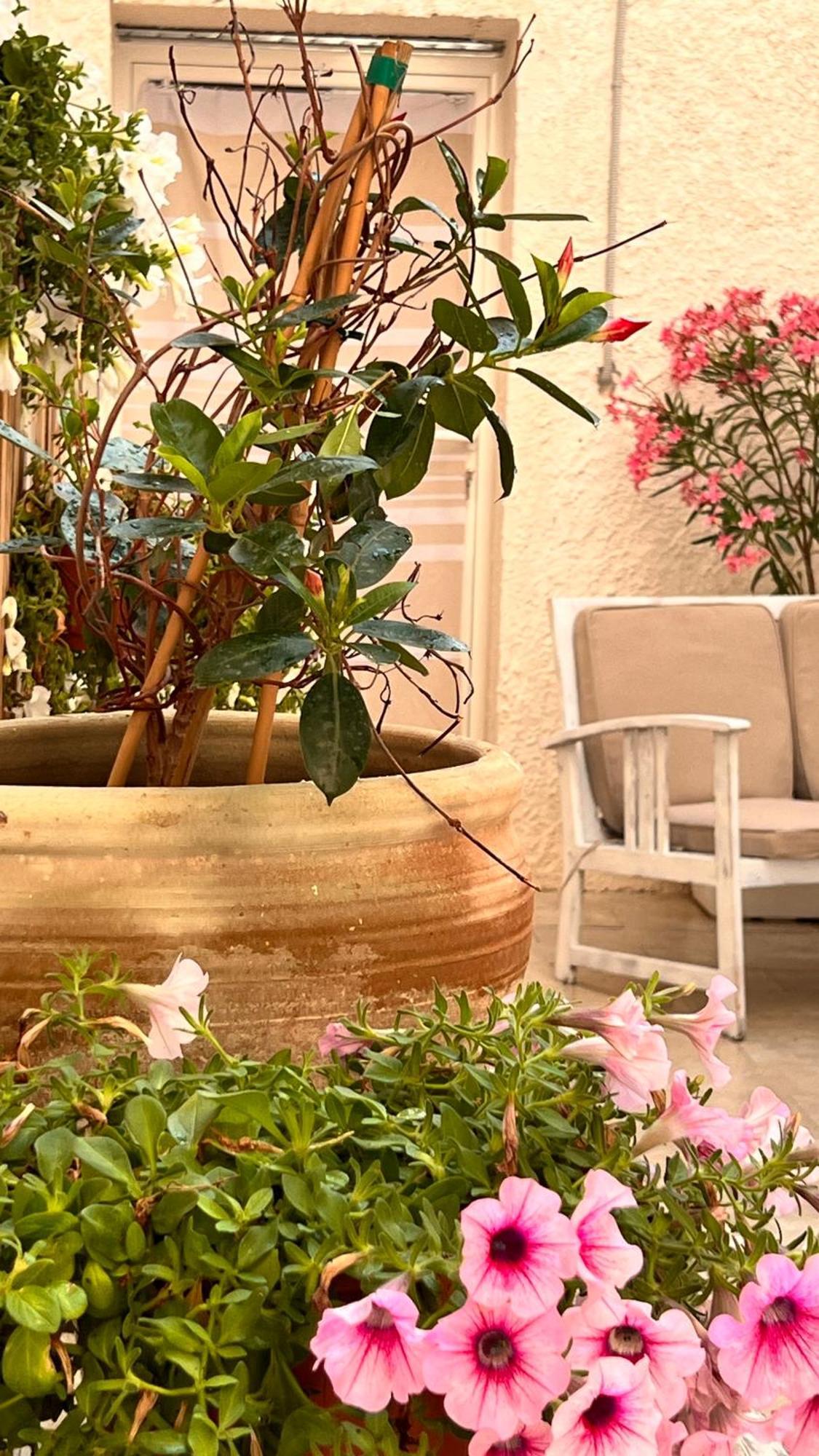 Dimora Donna Vitalia Apartments تراباني المظهر الخارجي الصورة